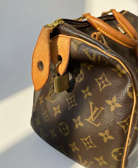 Louis Vuitton Speedy Monogram Handbag