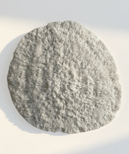 Wanddecoratie Coral