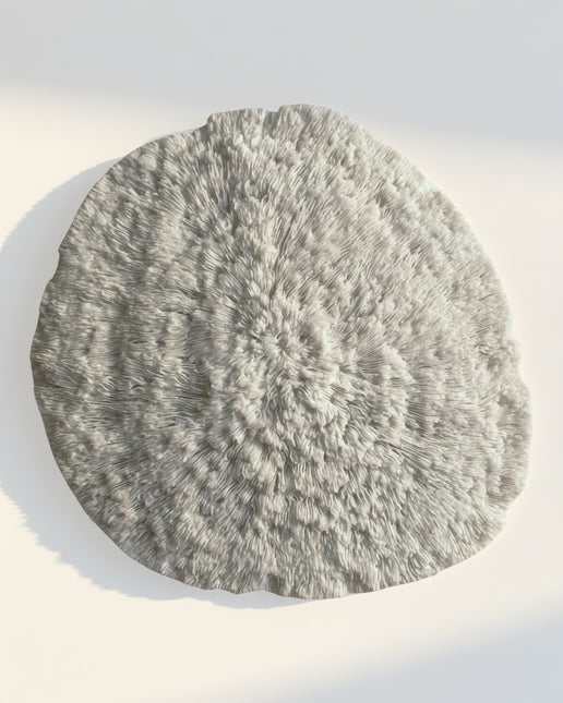 Wanddecoratie Coral