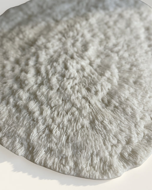 Wanddecoratie Coral